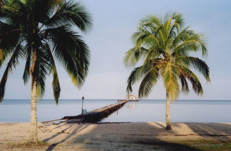 Playa Roja beach palm tree trees dock